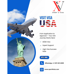 USA B1/ B2 Visit Visa Application Processing Service